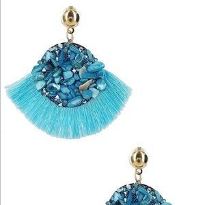Fashion Earrings  new